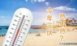 2024三伏的起止日期